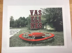 The Vaselines - 2009 Dan MacAdam Crosshair Poster Chicago, IL Metro