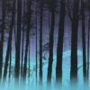 Ghost Pines - 2012 Dan McCarthy Poster Art Print Art Prints