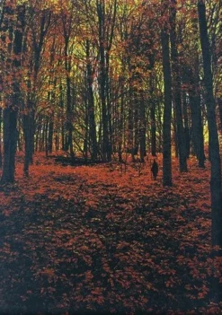 Art Prints Elder Days - 2010 Dan McCarthy Poster Art Print