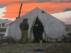 The Last Buffalo Hunt - 2011 Dan MacAdam Crosshair Poster Art Print