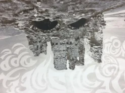 Dead Meadow/Sweet Apple - 2011 Dan MacAdam Crosshair Poster Los Angeles, CA Spac