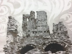 Dead Meadow/Sweet Apple - 2011 Dan MacAdam Crosshair Poster Los Angeles, CA Spac